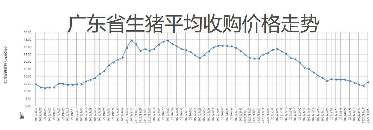 广东今日生猪价格分析